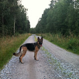 Nora ut på några km jogging-tur i Finland, Petalax